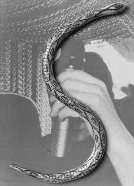 Arte in diretta radiofonica. Radioartemobile da Gorizia Arte in diretta radiofonica. Radioartemobile da Gorizia